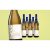 Sariño Sauvignon Blanc 2023  6.75L 12.5% Vol. Weinpaket aus Spanien